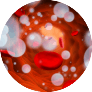 Hyperbaric Therapy Science