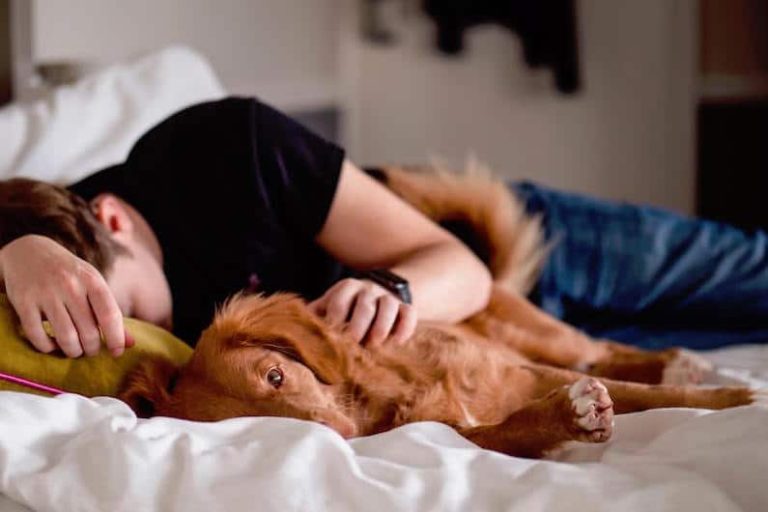 jamie street WvZ4dTE7dLI unsplash